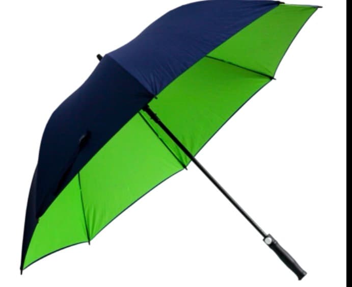 Windproof Umbrella